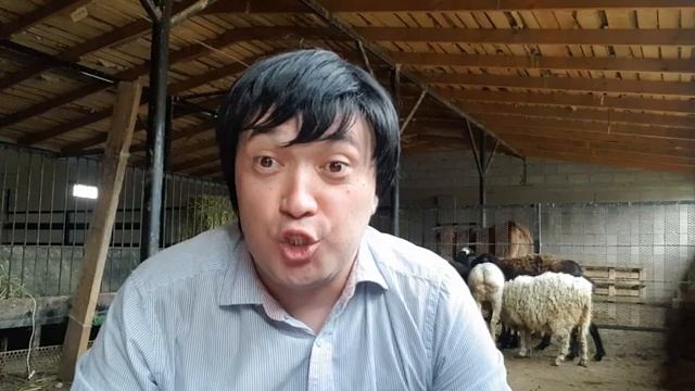 Городской куйоо бала в селе! День 4. смотреть онлайн