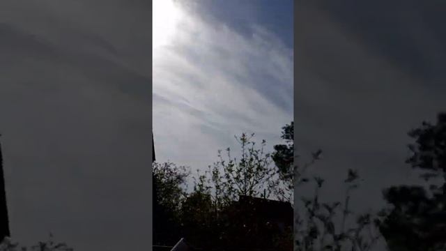 Я на даче и я там буду виселица!!!!!!????? смотреть онлайн