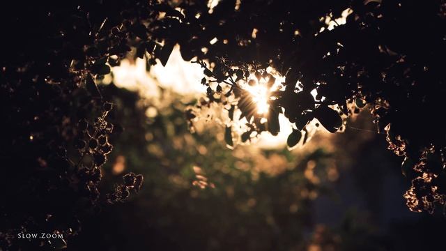 POWER ZOOM ADAPTER PZ-E1 18-135mm on CANON 90D (UNBOX & LOVING IT) смотреть онлайн