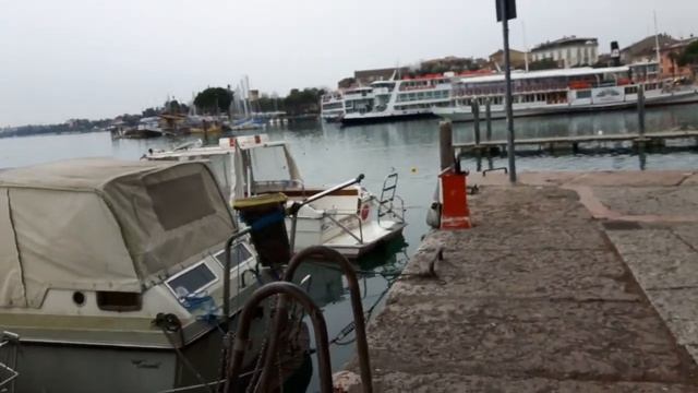 В ПАРКЕ ДЕЗЕНЦАНО.УТКИ И ГУСИ смотреть онлайн