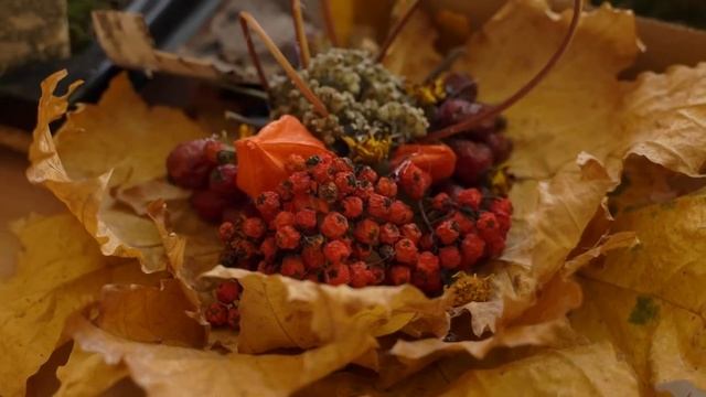 Конкурс осенних поделок 2022