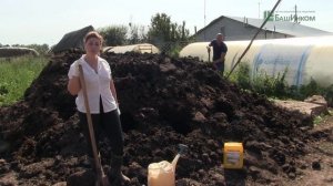 Как из навоза быстро сделать органическое удобрение