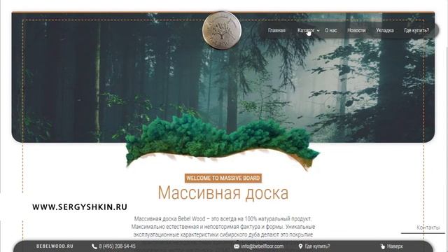 Заказать сайт | Продающий сайт | Landing Page для вашего бизнеса. смотреть онлайн