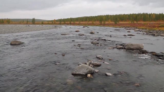Бурный перекат ниже порога на р. Лохорта смотреть онлайн