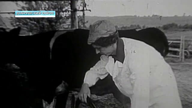 Перспективы животноводства смотреть онлайн