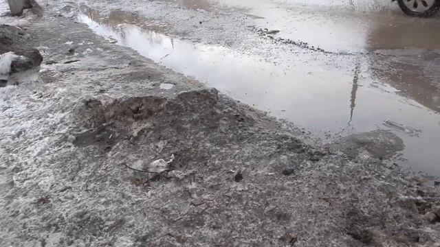Мой друг Геннадий Горин шагает по городу и говорит смотреть онлайн
