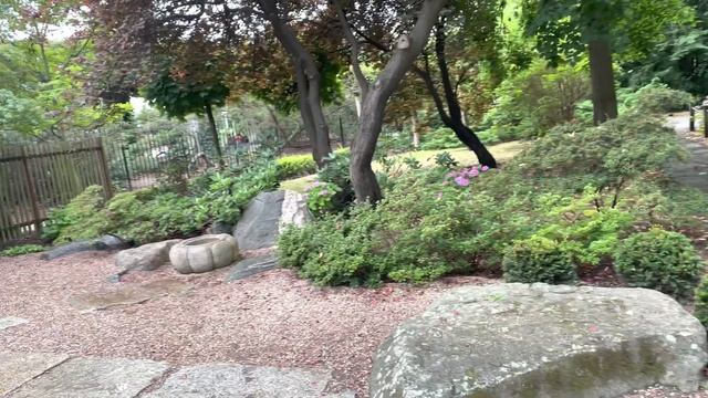 Японский сад .Вроцлав.Невероятная красота . смотреть онлайн