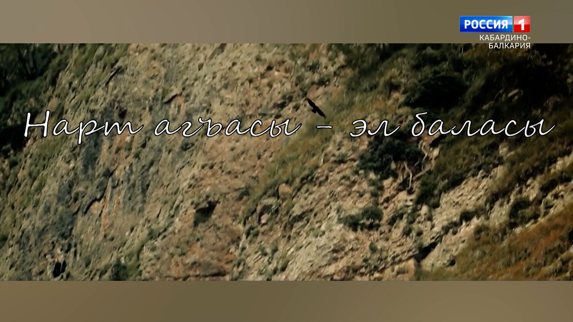 "Сокровища нартов" Выставка в национальном музее - 2023.02.10 смотреть онлайн