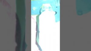 Ишем протечку на котле Baxi