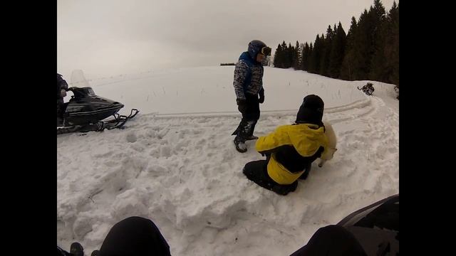 С детьми в лес смотреть онлайн