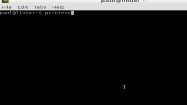How to print environment variables in Linux смотреть онлайн