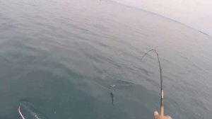 Троллинг,Сима. Приморский край