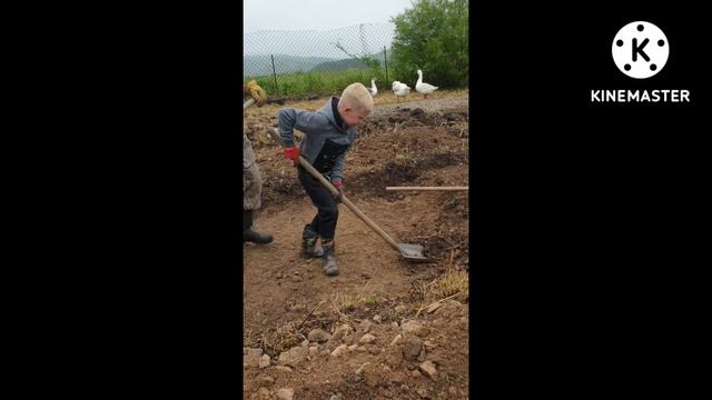 Искусственный водоём для гусей смотреть онлайн