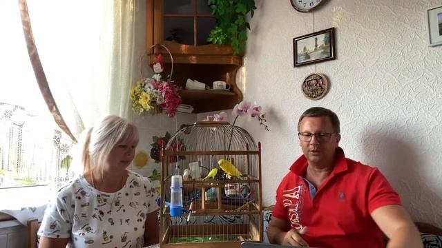 ОБЗОР НАШИХ ЧАСОВ APPLE WATCH 5 серии для кого они нужны / Arina  Belaja