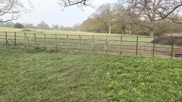 ?4K Exploring London Osterley Park ??? Walk ?♂️?♂️?♂️. From Osterley Pond to Osterley House ??? смотреть онлайн