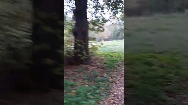 умирают села и деревни ... смотреть онлайн