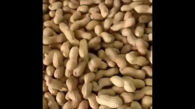 Жарим арахис в скорлупе смотреть онлайн