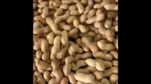 Жарим арахис в скорлупе