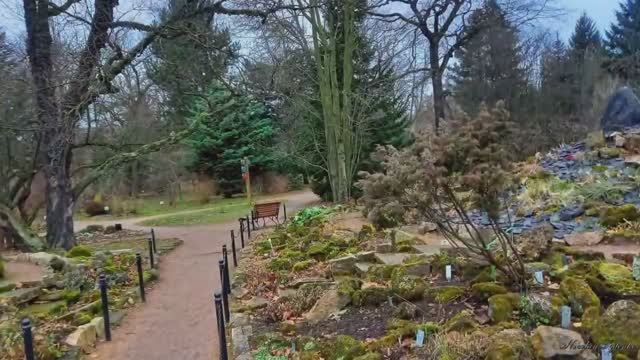 Волшебный Петербург часть третья . смотреть онлайн