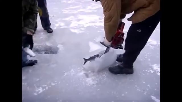 Топ 10 зимняя рыбалка, лучшее смотреть онлайн
