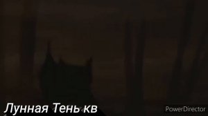 Коты-Воители | Darkside