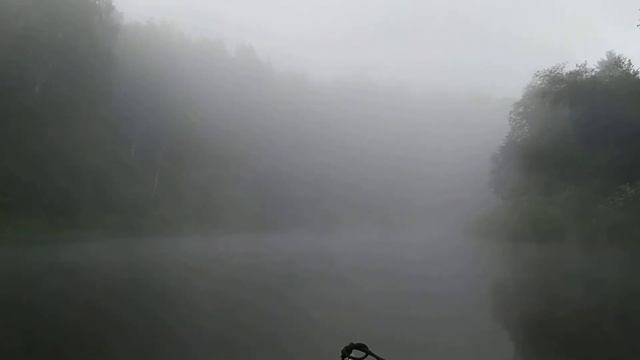 Река Соть на рыбалку 16.06.2019г. смотреть онлайн