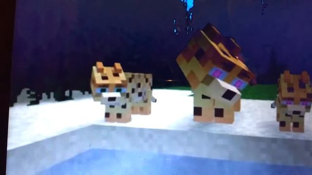 Ocelot Life 2 - Craftronix Minecraft Animation