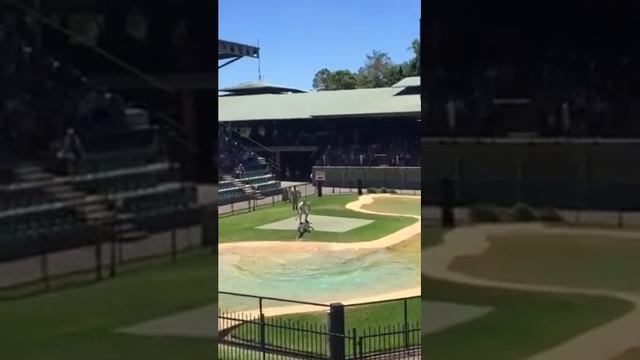 Крокодилы в Австралии смотреть онлайн