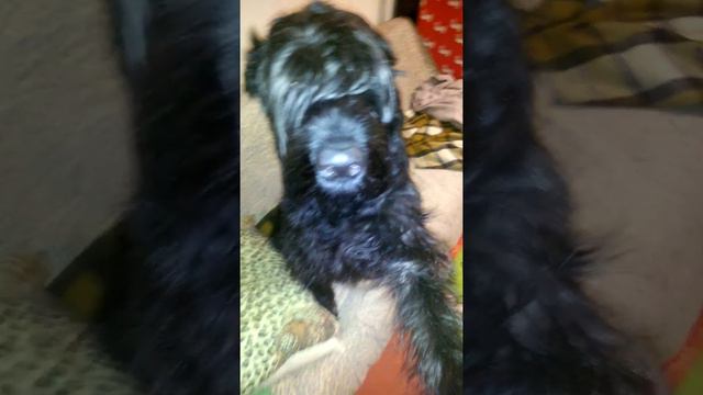 Воспитательная беседа с Метидой. смотреть онлайн