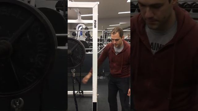 Functional Isometrics with the Crane Scale смотреть онлайн