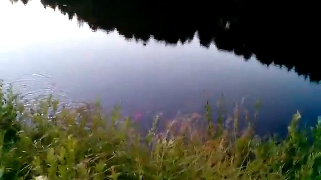 Идем ловить рыбу. Продолжение смотреть онлайн