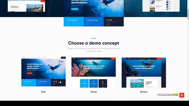 Briny Scuba Diving School and Water Sports WordPress Theme snorkeling scuba diving Kuramochi смотреть онлайн