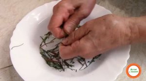 Что делать со стеблями петрушки  Лайфхак
