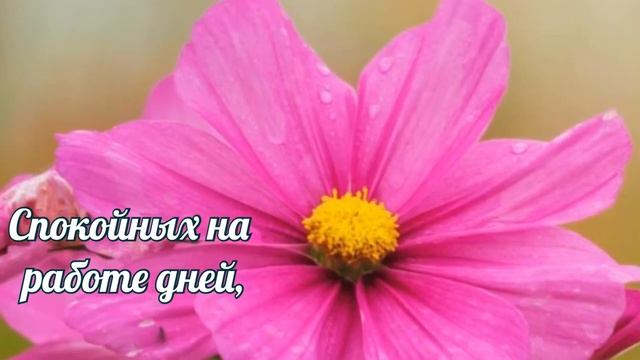 Шикарное поздравление с Днем рождения для женщин и девушек. Музыкальная открытка с Днем рождения смотреть онлайн