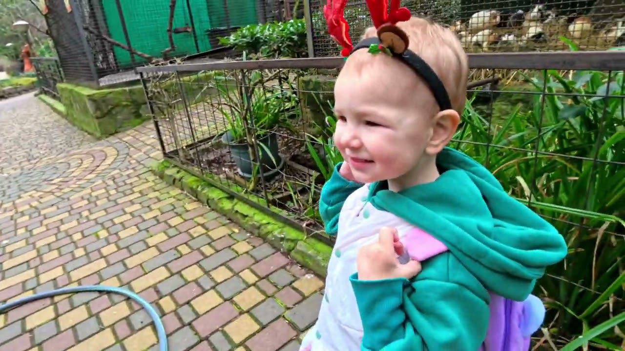 Зоопарк Ялты (полная версия 4К)