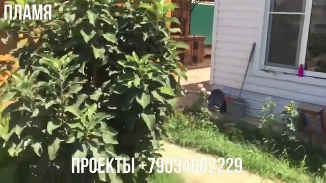Мангал с печью под казан Двойной зуб собран по проекту Михалыча Супер дымоход смотреть онлайн