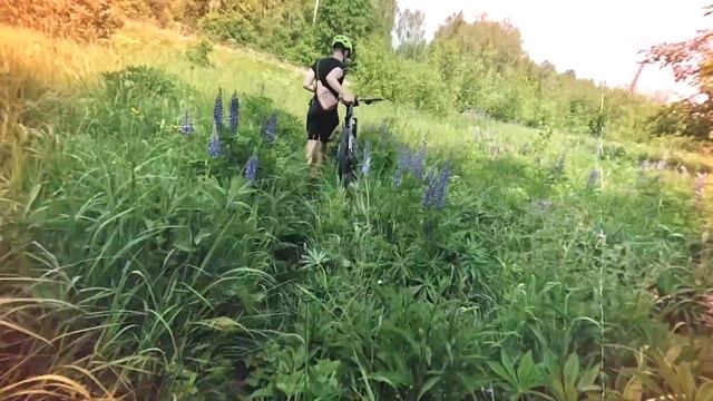 ГОЛЫШЕВА НЕ ДОЕХАЛА? СЛЁЗЫ В ДОРОГЕ! ХАЙП ХАУС НЕ СМОГ… ФРОСЯ, СЛИППИ, ГЕРМАН. смотреть онлайн