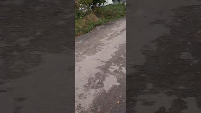 Киев, дороги,порядок, экология смотреть онлайн