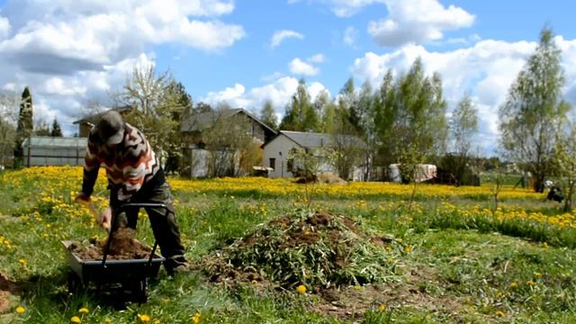Живу в деревне. Посадил вишневые деревья и сделал компостную кучу. Посеяли картофель и лук. смотреть онлайн