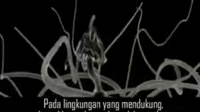 Siklus Hidup Basidiomycota