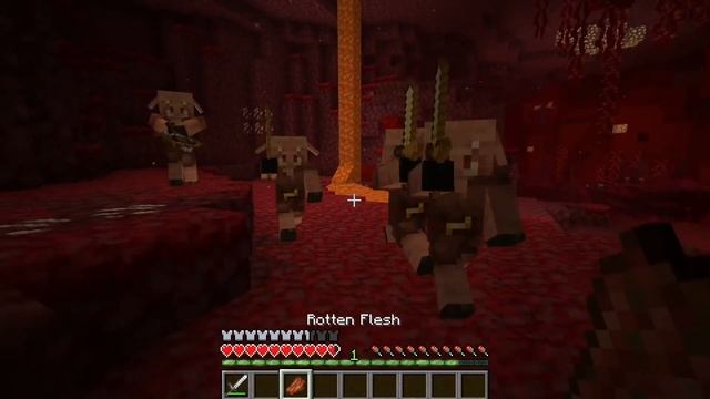 Minecraft 1.16:Trailer VS Reality POV смотреть онлайн
