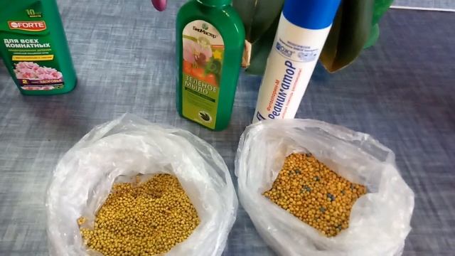 Удобрения для орхидей!!!??? смотреть онлайн