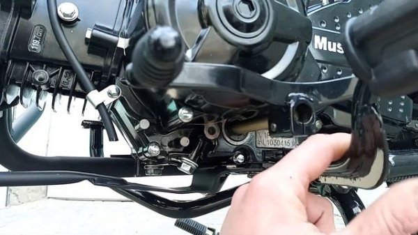 Динго, всё тот же дикий пёс DINGO 125.