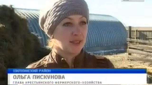 мирсаново с х смотреть онлайн