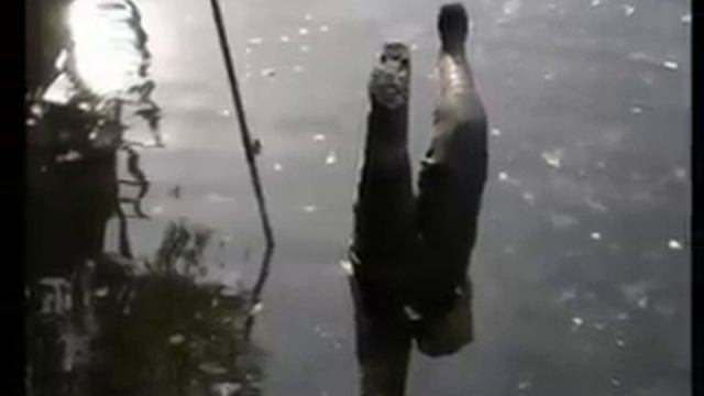 Сергей Ш. Люблю рыбалку.wmv смотреть онлайн