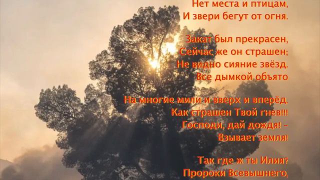 Калифорния в Огне смотреть онлайн