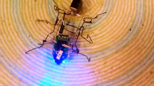 Robot Evlampiy, first steps. смотреть онлайн