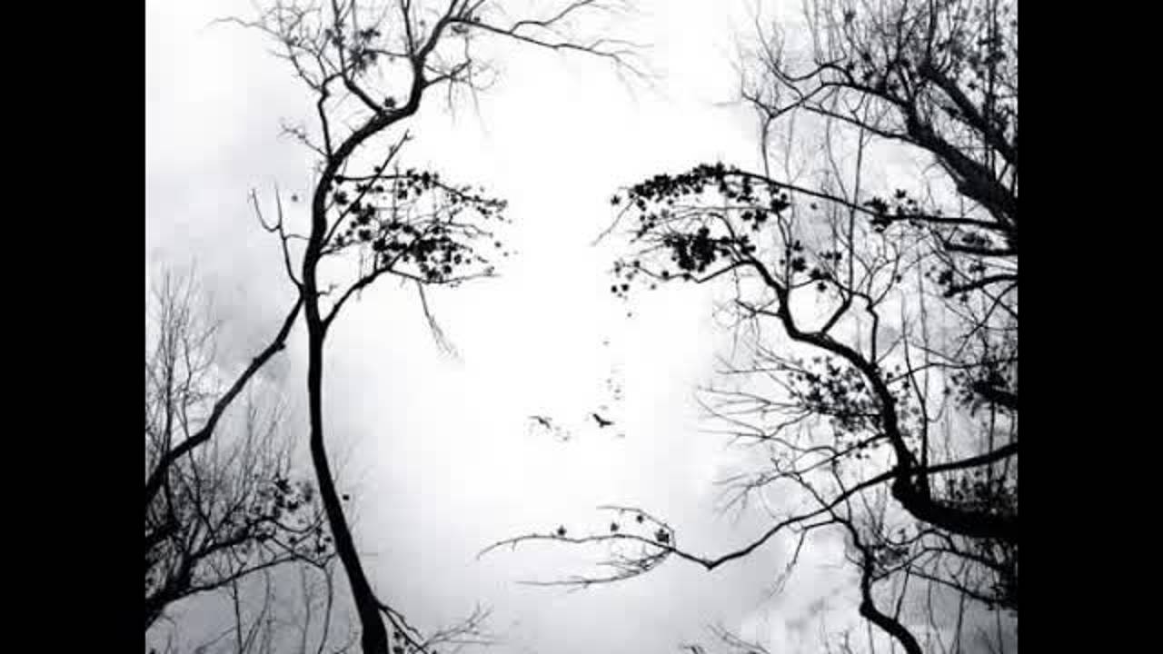 Можжевеловый куст