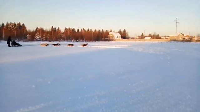 30 декабря 2021 г. смотреть онлайн