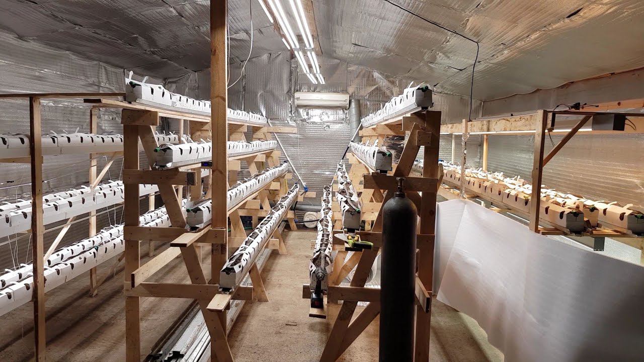 АВТОМАТИКА СО2 И ПОЛИВА // ГАЗОН ПОДРОС // ПЕРВЫЙ ПОЛИВ смотреть онлайн